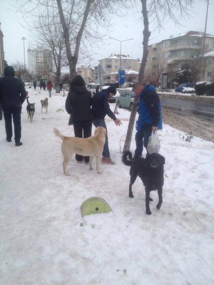 Sokak hayvanları unutulmadı