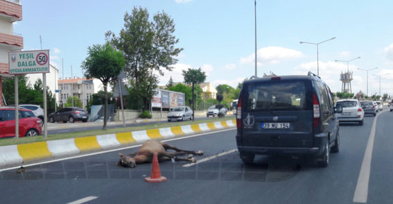 Yola çıkan ağır yaralandı