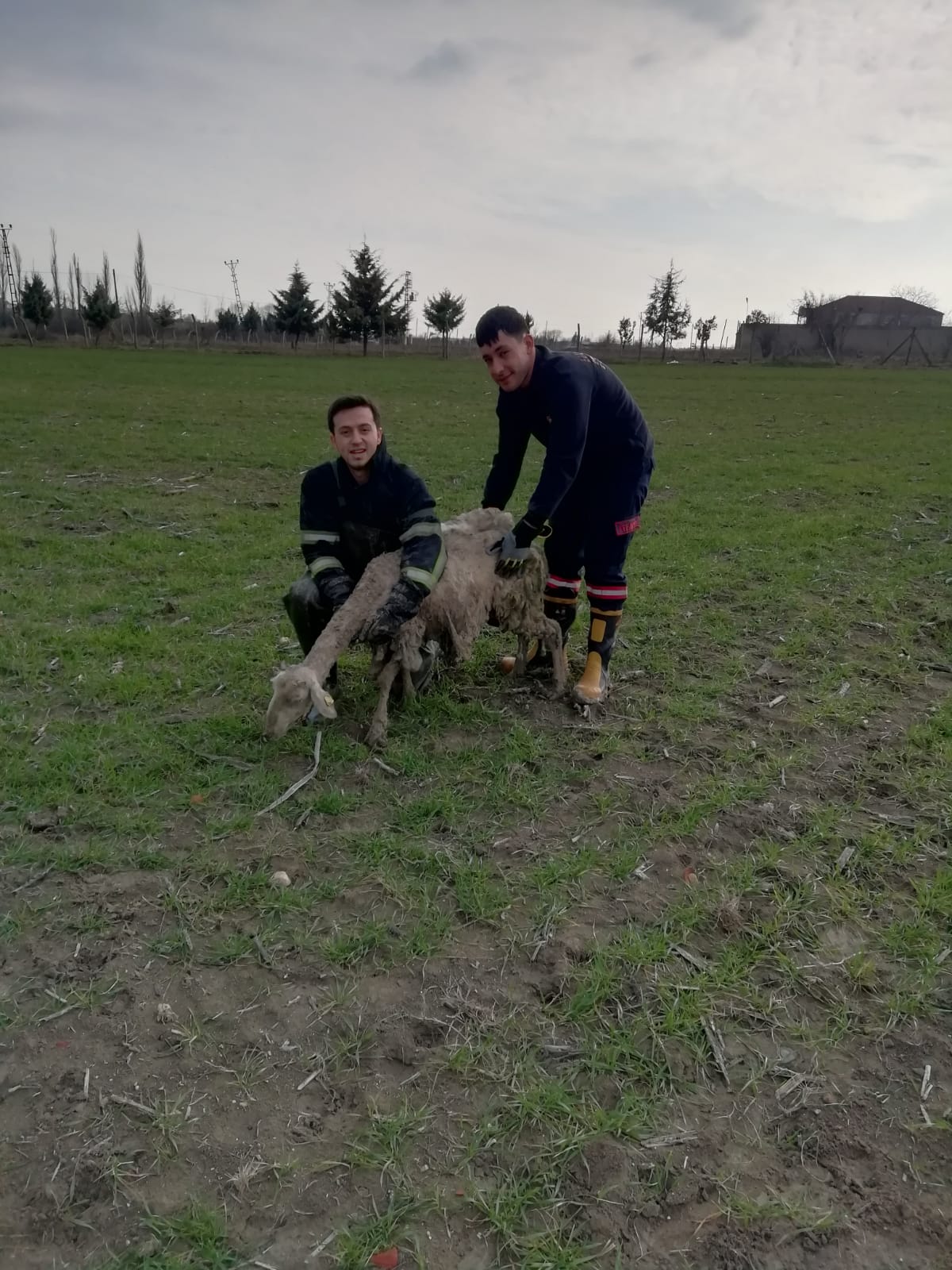 Çamura saplanan kuzuyu itfaiye ekipleri kurtardı