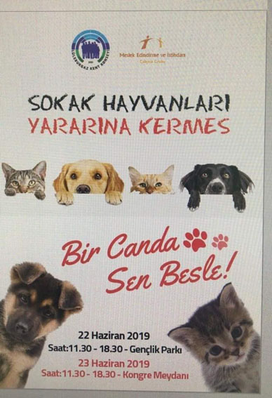 Bugün ve yarın sokak hayvanları yarına kermes var