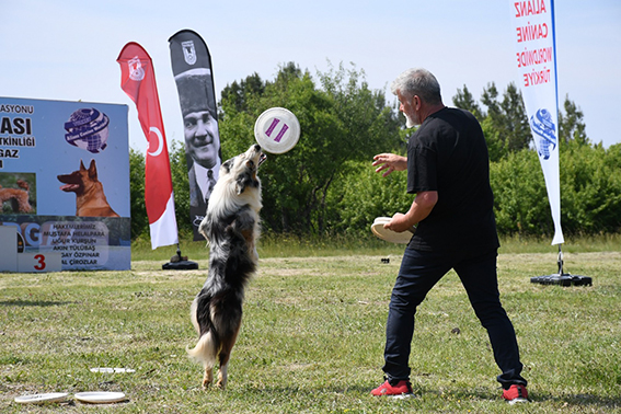 Patiler Kent Ormanı’nda yarıştı