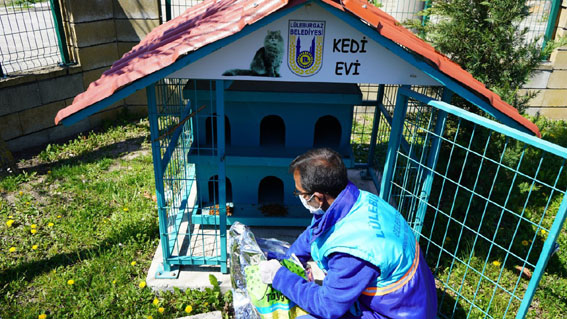 Can dostlarımıza yeni besleme noktaları