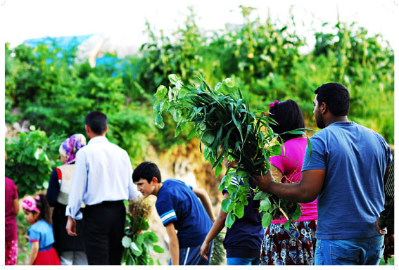 Hıdrellez coşkusu Lüleburgaz’ı sardı