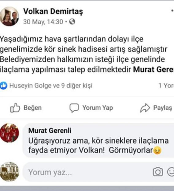 Bütün suç kör sineklerde