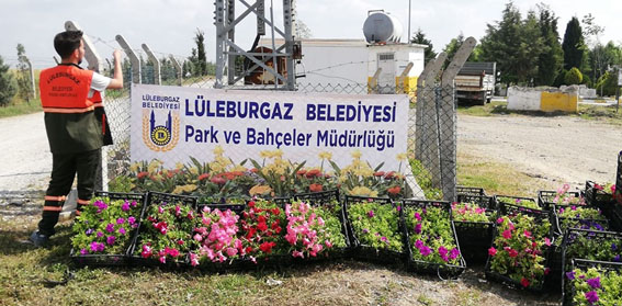 Lüleburgaz'da mezarlıkta çiçek dağıtıldı