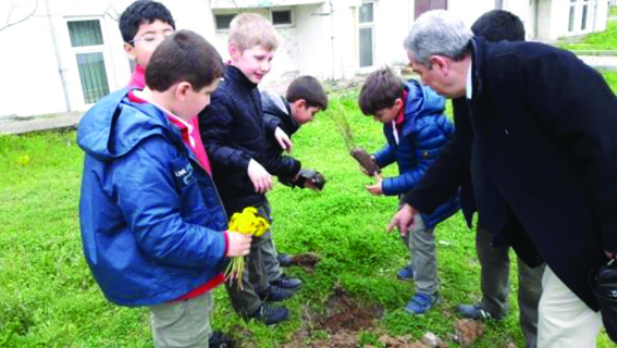 Generalli öğrenciler ağaç dikti