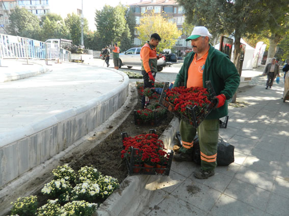 Lüleburgaz çiçekle süsleniyor