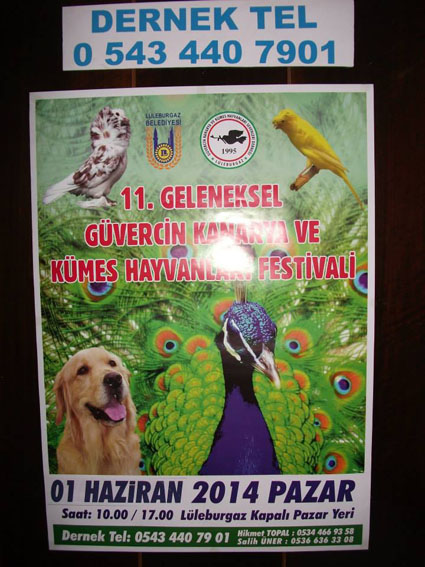 Güvercin Festivali 1 Haziran’da