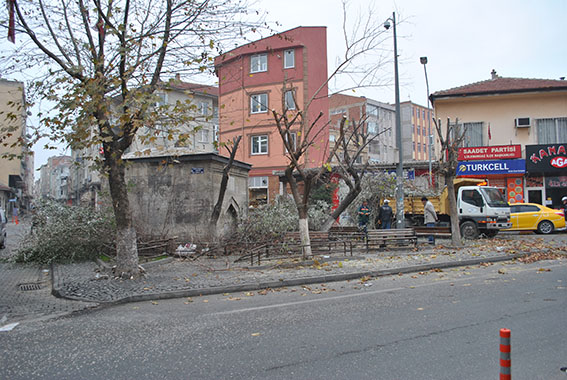 Lüleburgaz’da ağaçlar budandı 