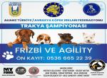 Pazar günü Lüleburgaz’da “Dog Show” düzenlenecek