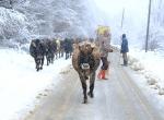 Lüleburgaz’da bugün ve yarın güneşli hava etkili olacak