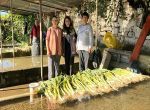 Kırklareli’nde pırasa zamanı