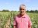 Trakya'da ayçiçeği üreticisi gözünü yağışa dikti