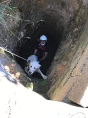 Vize’de kuyuya düşen köpek itfaiye ekiplerince kurtarıldı