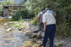 Lüleburgaz'da balık ölümleri iddiası