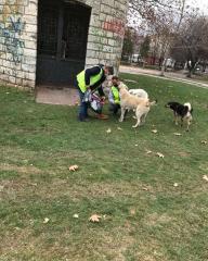 Kırklareli’nde sokak hayvanlarına mama takviyesi yapıldı 