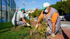 Park ve yollardaki otlar temizleniyor