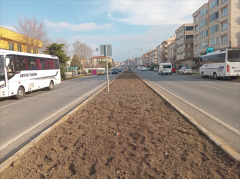 Belediye ana caddede ağaçları kesti!