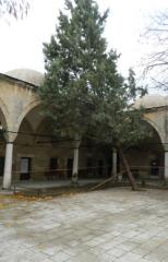 Sokullu Camii’nde büyük tehlike