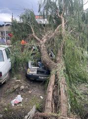 Lüleburgaz'da şiddetli rüzgar etkili oldu